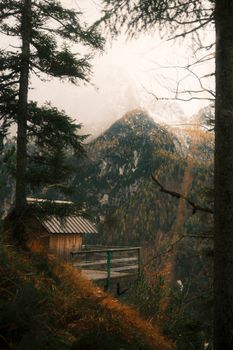 A serene mountain cabin surrounded by autumn foliage under a misty sky, perfect for nature escape.