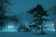 在雾气缭绕的公园中，树木和灯柱照亮了积雪，营造出宁静的冬夜场景