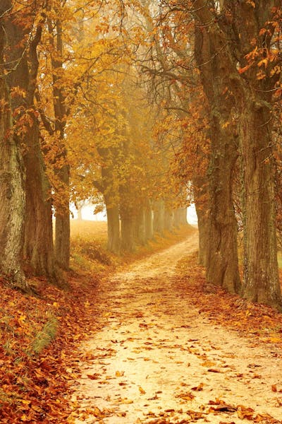 New driver with car keys