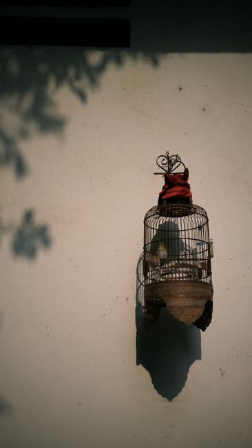 Vintage birdcage casting shadow on a sunlit exterior wall.