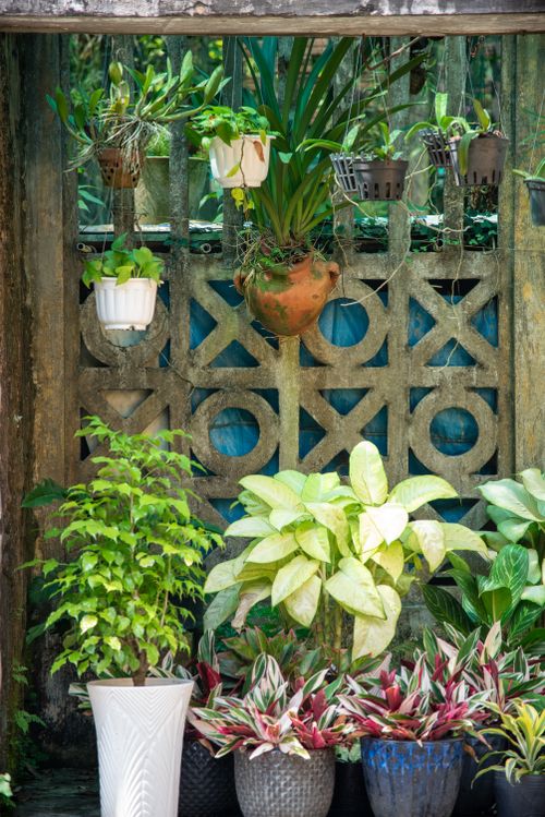 Free A lush garden corner with diverse hanging and potted plants in various planters. Stock Photo