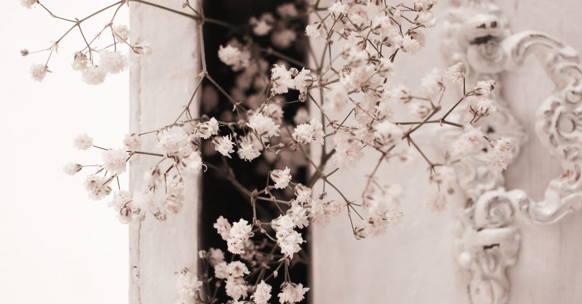 Rüyada Zengin Bir Miras Kalması - Rüya Tabiri ve Anlamı - Delicate gypsophila blooms adorn an ornate vintage door, creating a romantic aesthetic.