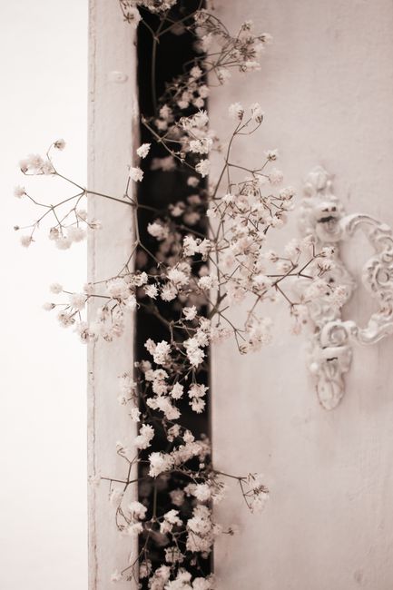 Delicate gypsophila blooms adorn an ornate vintage door, creating a romantic aesthetic.