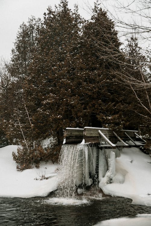 雪で覆われた茶色の木製ベンチ