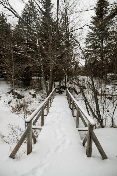 Brown Wooden Bridge Covered With Snow