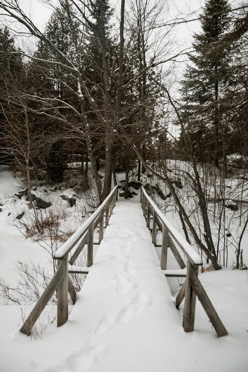 Free Brown Wooden Bridge Covered With Snow Stock Photo