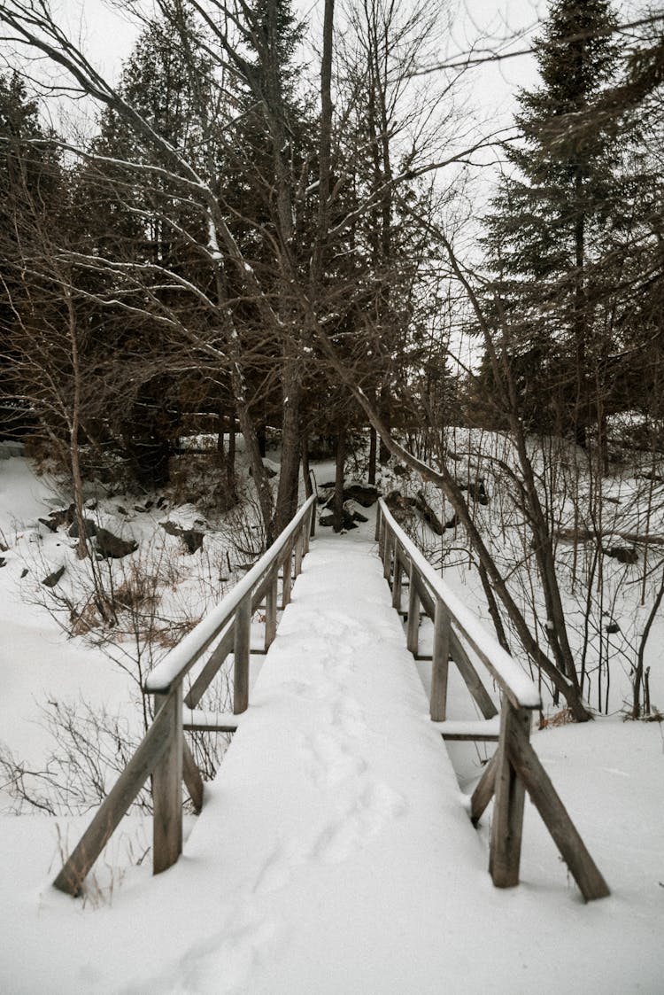 Brown Wooden Bridge Covered With Snow