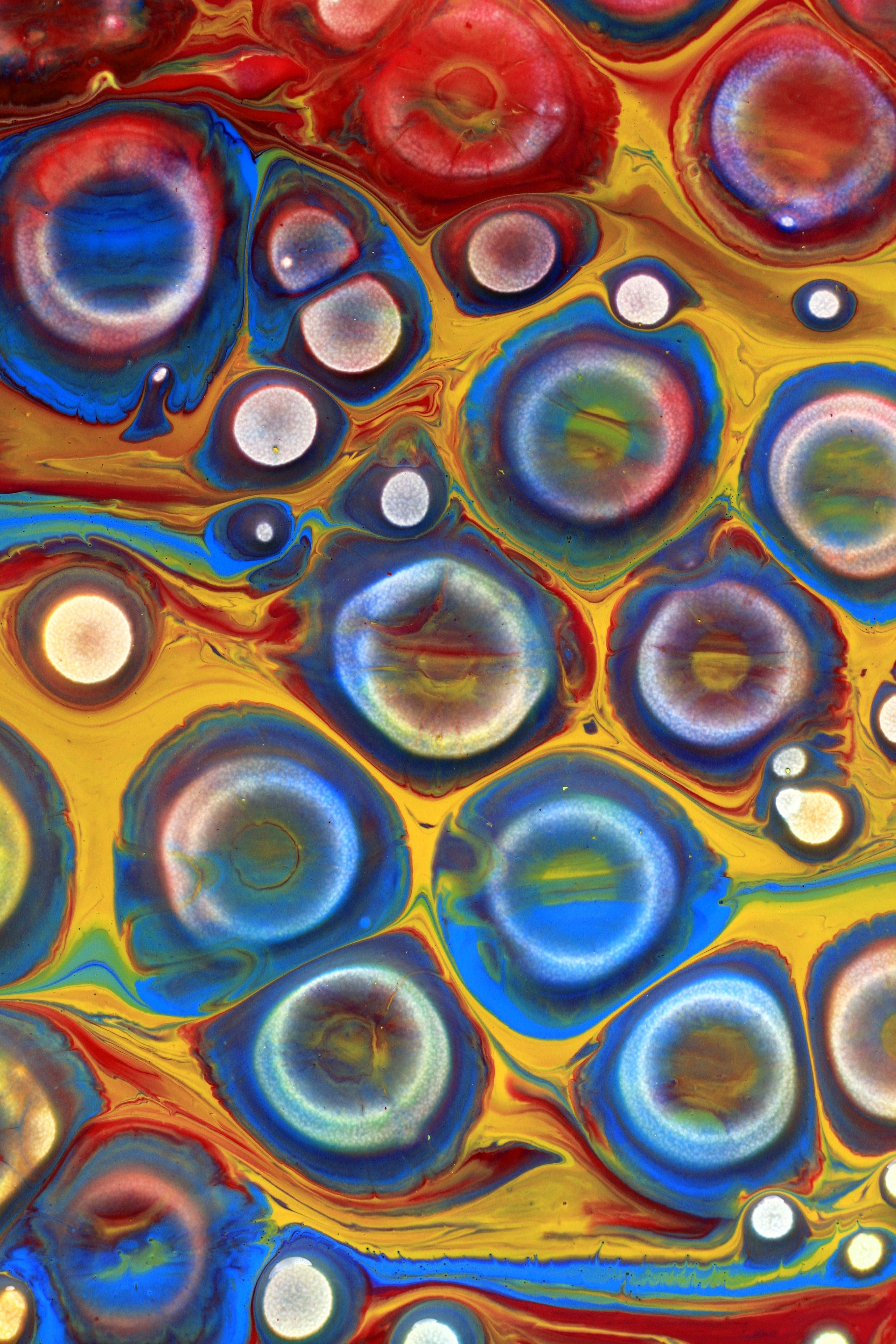 Vibrant Abstract Fluid Art with Bold Colors · Free Stock Photo