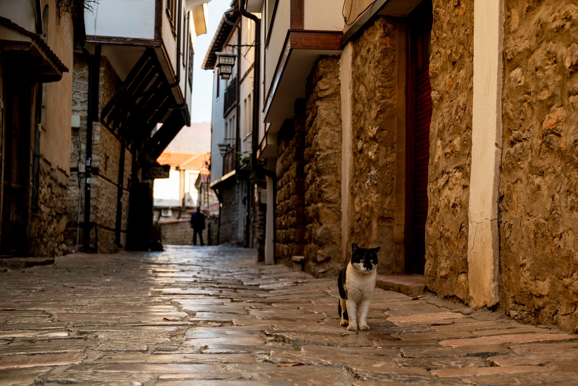 Rustic European street scene featuring a black and white cat strolling along stone-paved alley.