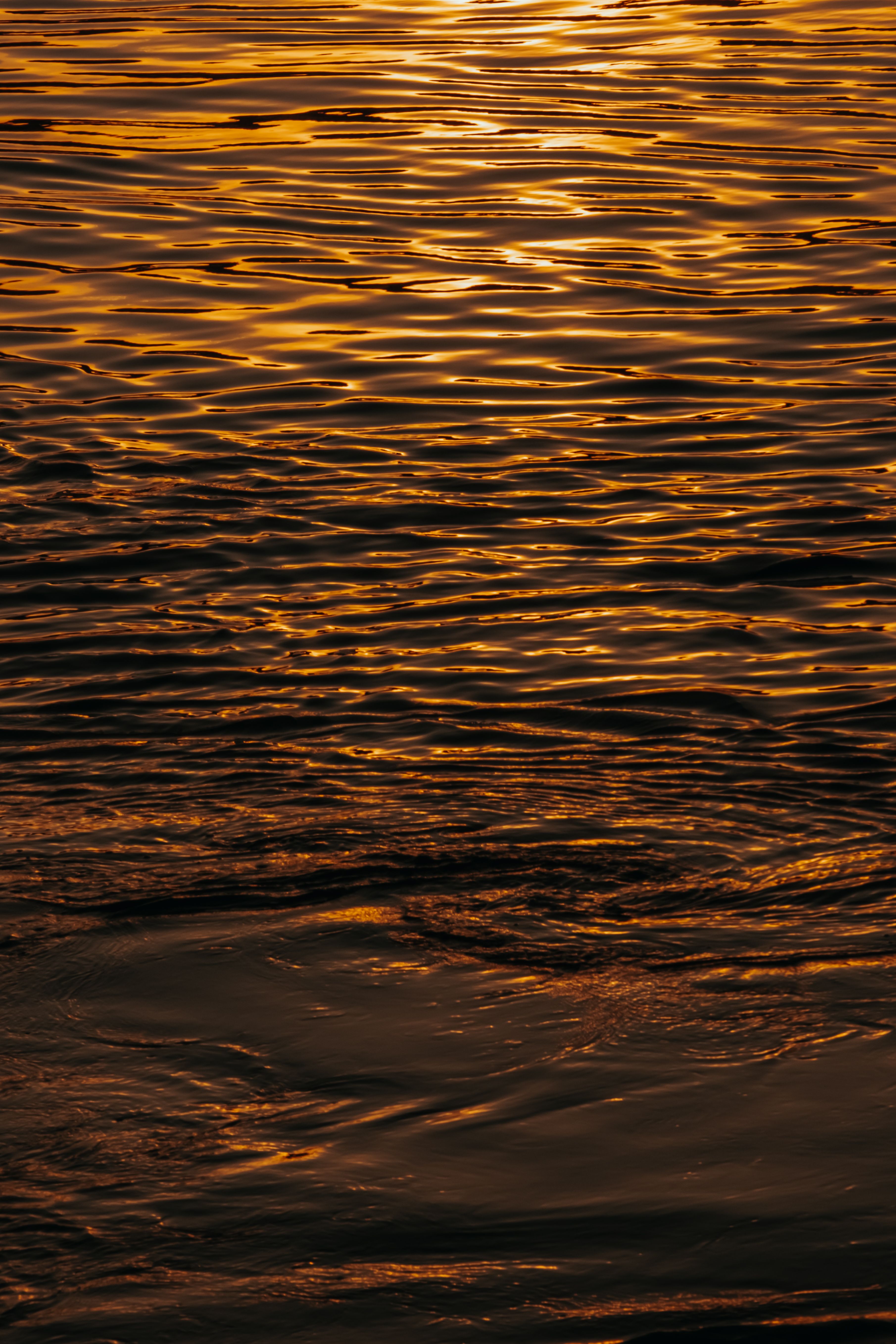 Golden Sunset Reflections on Water Surface · Free Stock Photo