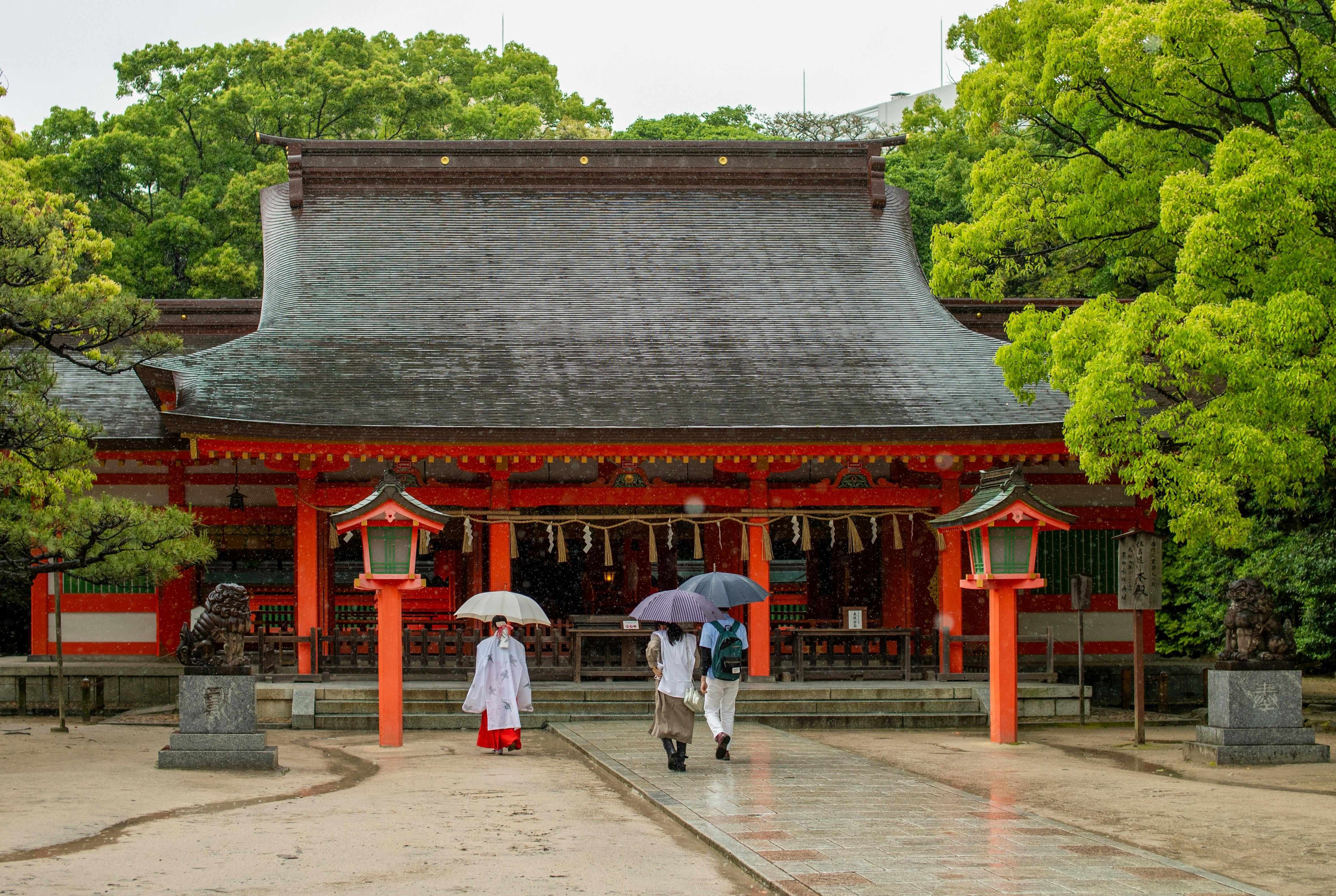 Explore tranquility at a Buddhist temple in Fukuoka, Japan, captured on a peaceful rainy day.