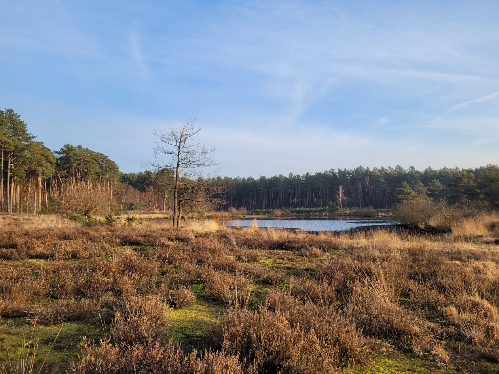 Kunstwerk in natuurgebied bij Coevorden getoond in advertentiecampagne