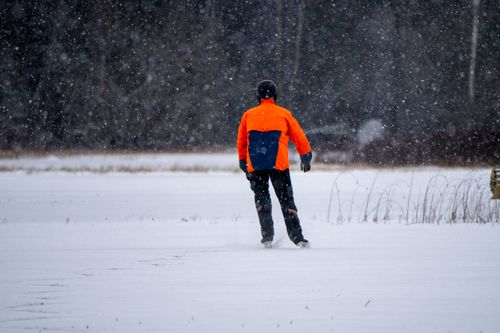 Free Person in orange jacket enjoys outdoor winter snowfall scenery. Stock Photo