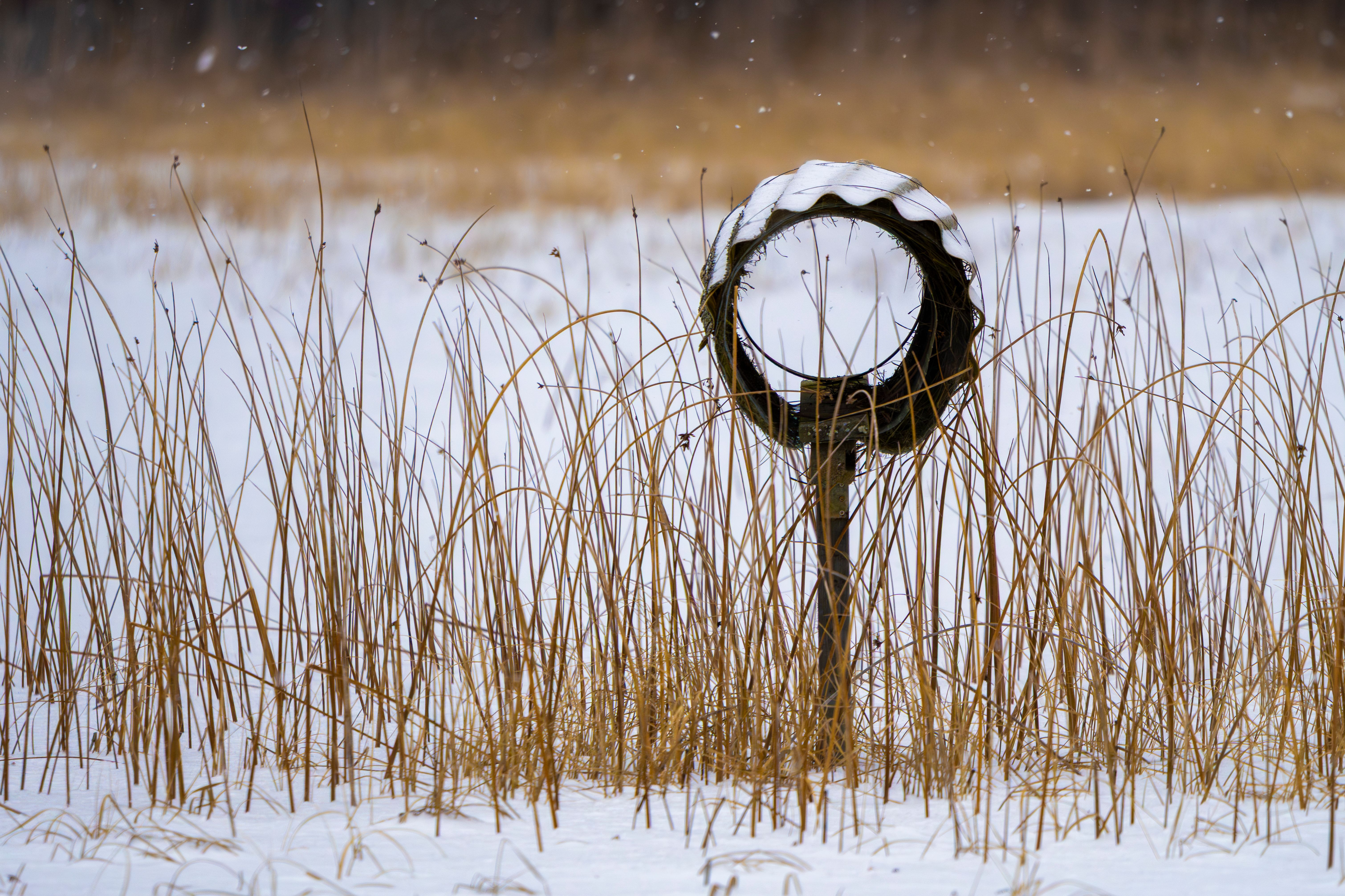 Circular Metal Structure in Snowy Field · Free Stock Photo