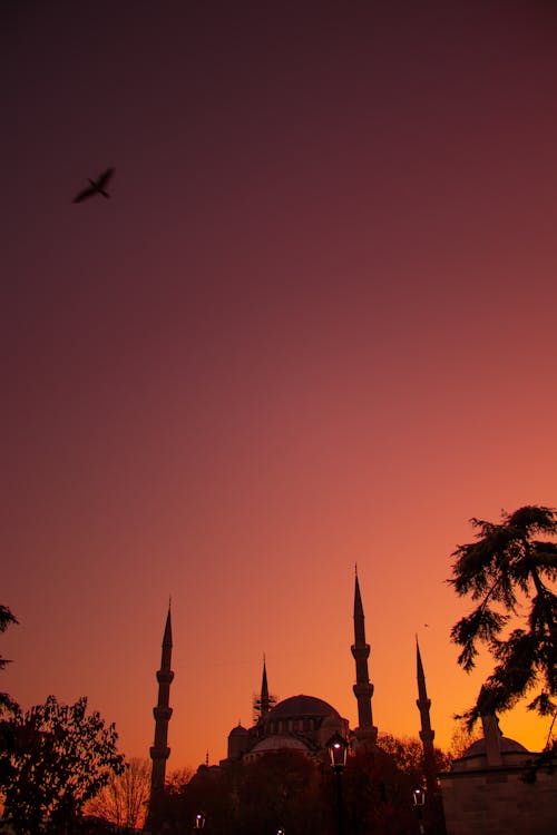 伊斯坦堡, 伊斯蘭教, 假日 的 免费素材图片