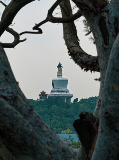 Free Captivating glimpse of the White Stupa in Beihai Park, framed by tree branches on an overcast day. Stock Photo