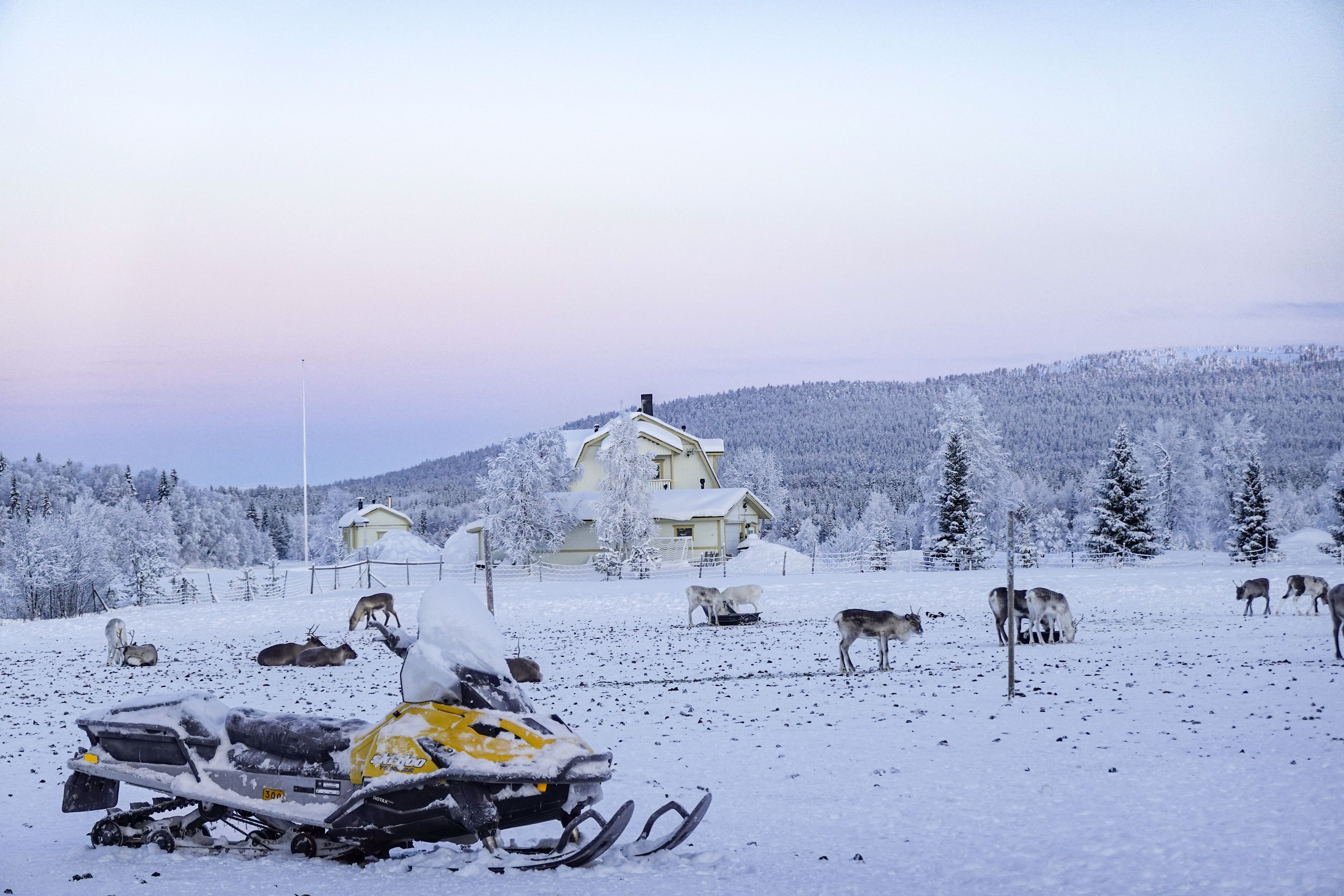 Sneeuwscootertocht in Lapland