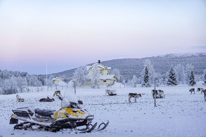 Sneeuwscootertocht door Lapland