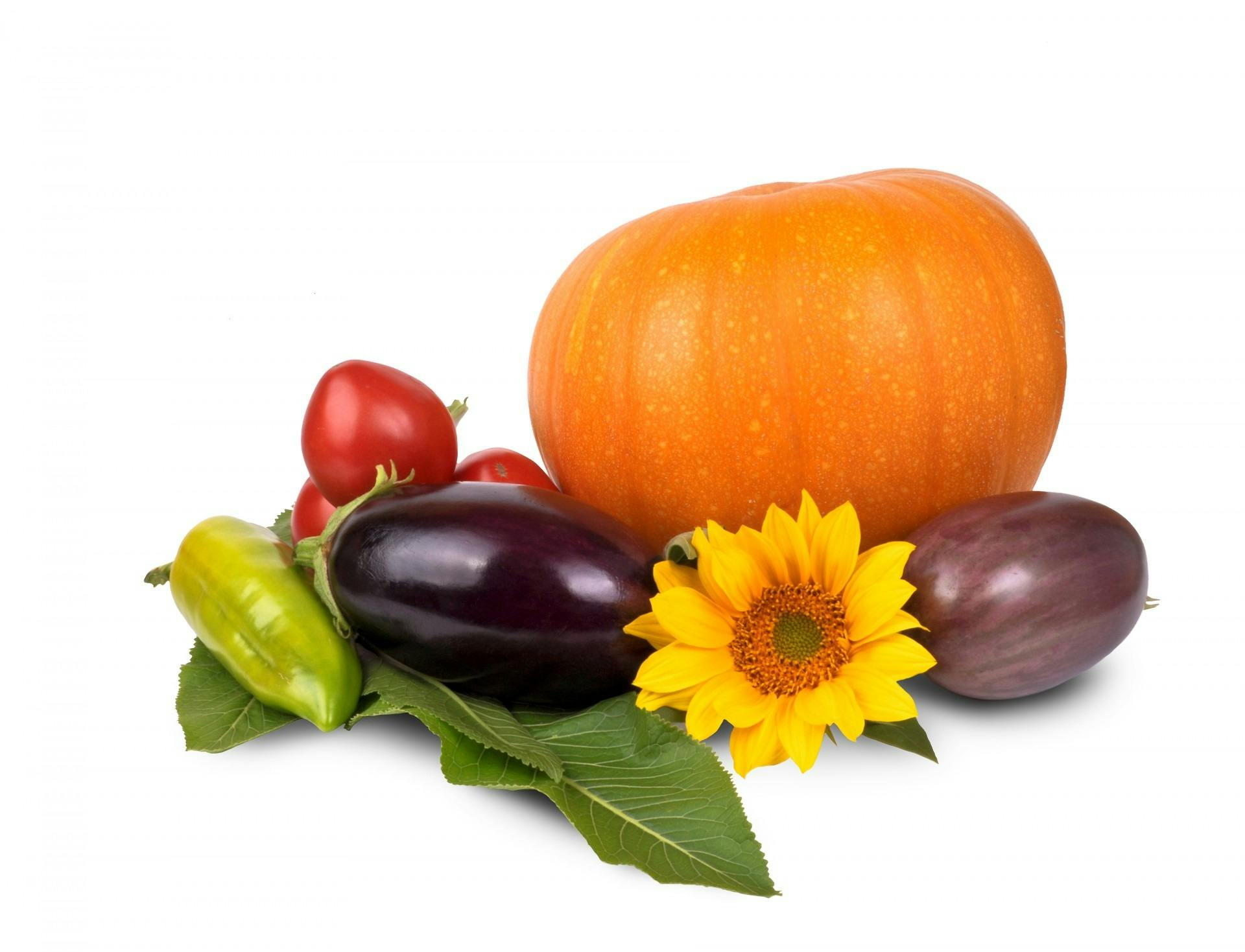Nature S Harvest Fresh Dog Food Nature S Harvest Fresh Dog Food