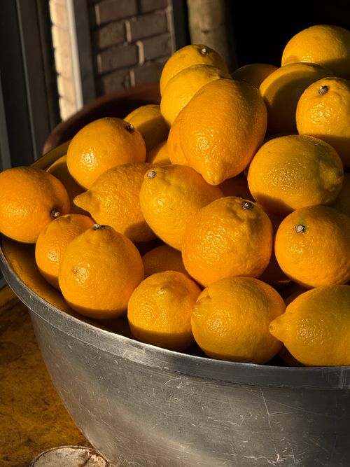 Free Fresh yellow lemons in a metal bowl captured under natural sunlight, enhancing their vibrant color. Stock Photo
