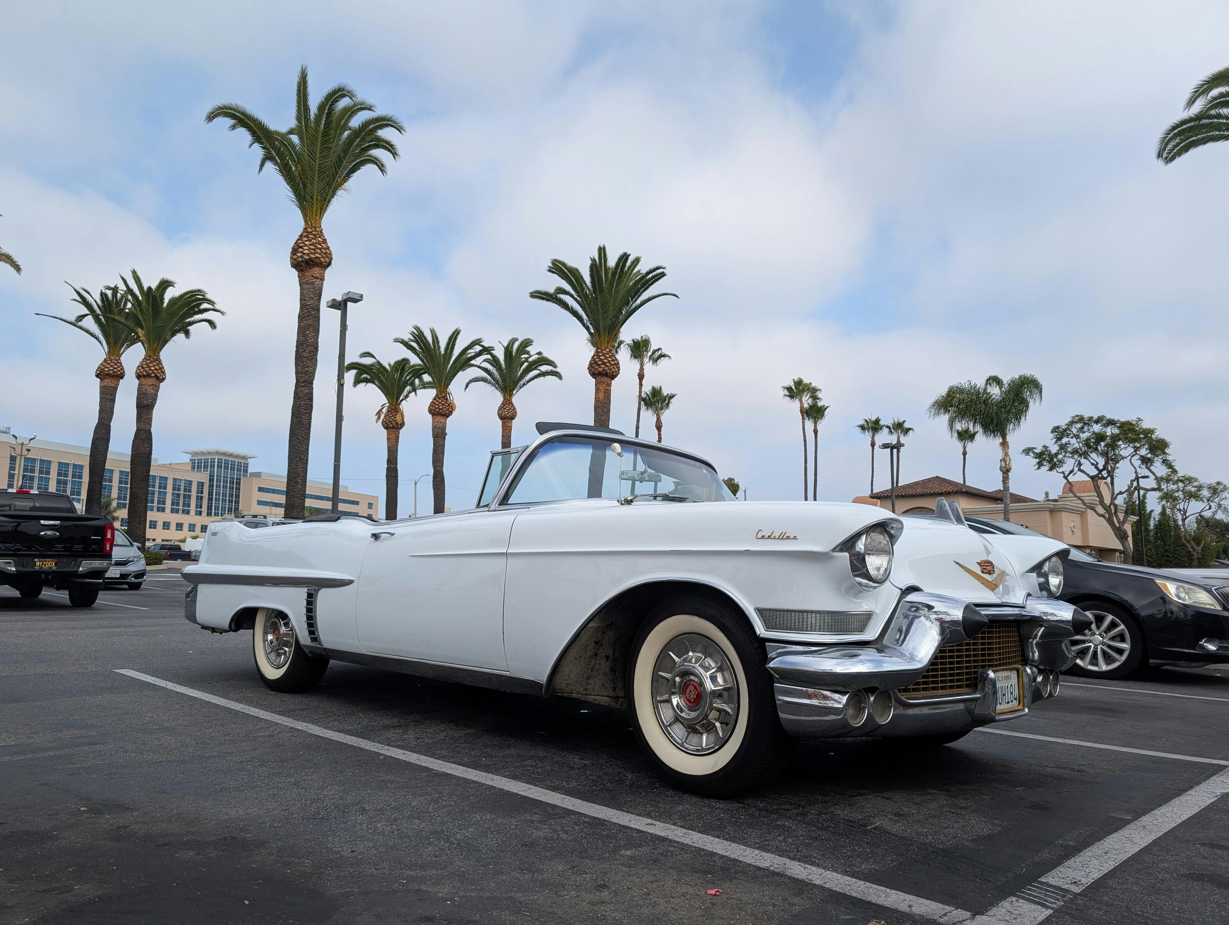 CarMax Bets on Tech to Streamline Used Car Buying Journey — Photo by Devan Sagliani on Pexels