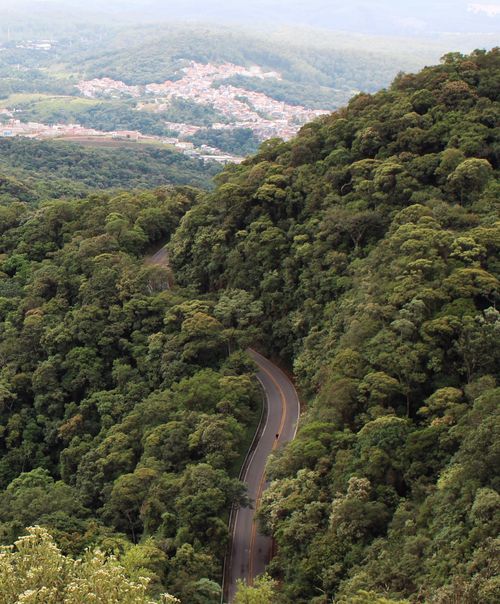 Free Aerial view of a curving road amidst dense green forests and distant town. Stock Photo