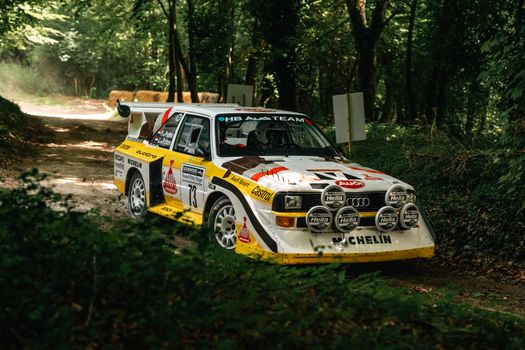 A classic rally car navigating a forest trail during a race in Southampton, England.