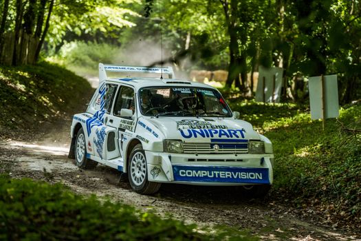 White rally car speeding through a wooded trail in Southampton, England.