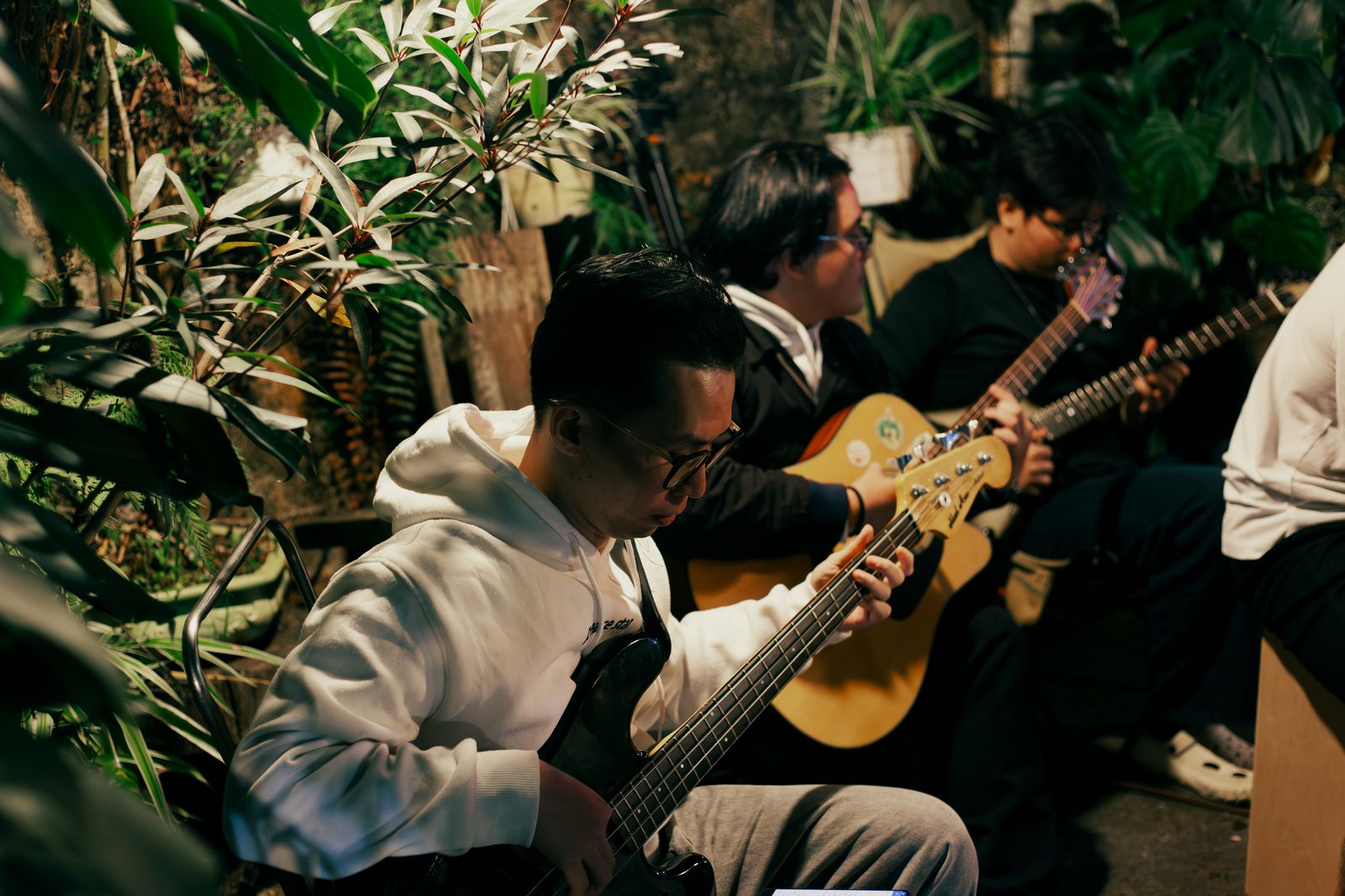 Musicians playing acoustic instruments together among plants at an intimate session