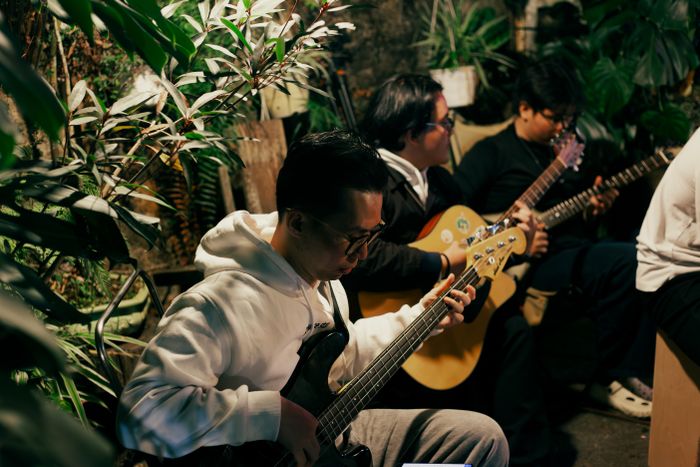 Musicians playing acoustic instruments together among plants