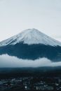 黄昏时分，薄雾笼罩着白雪覆盖的雄伟富士山，一派宁静的日本冬日景象