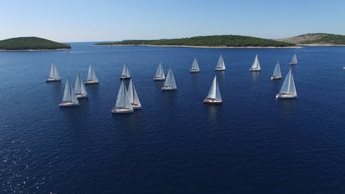 Sailboat Lot on Body of Water