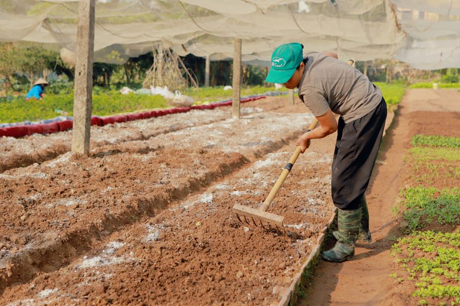 Sal Mineral para Bovinos