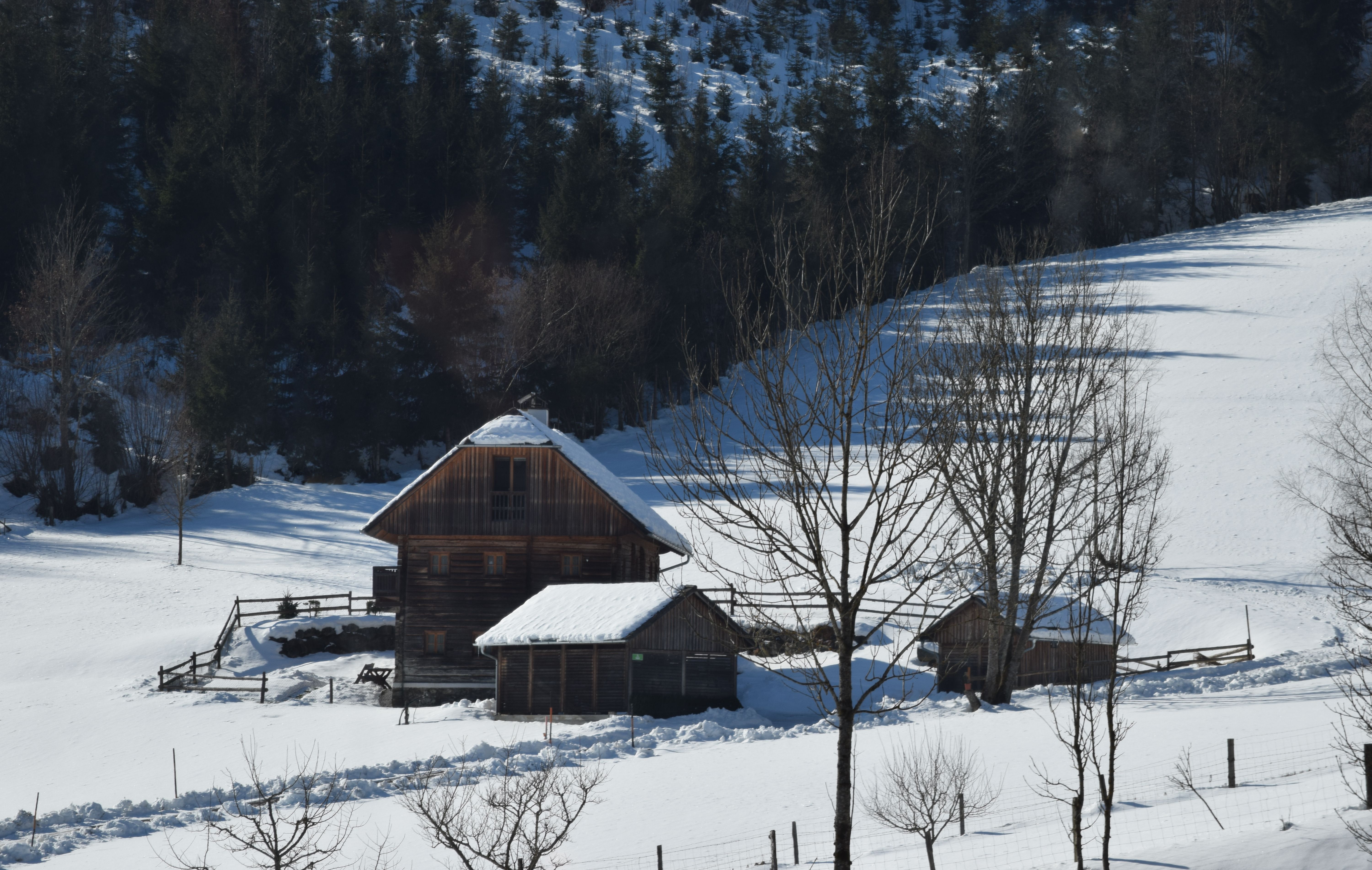 A dark-timbered Austrian farmstead standing in deep snow with a forested hillside rising behind it