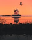 日落时分，一只鸟翱翔而过，一座宁静的灯塔倒映在平静的水面上