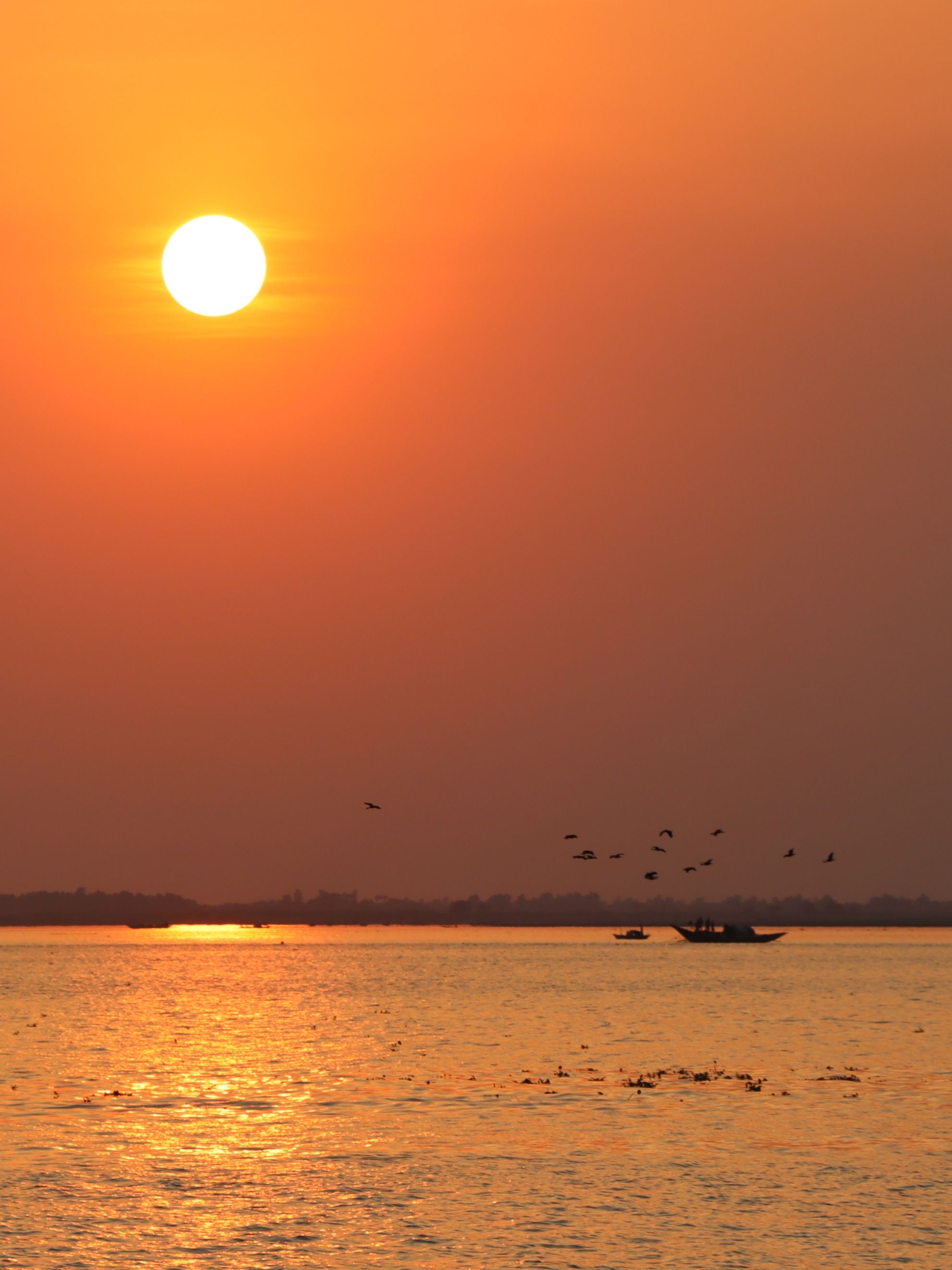 Serene Sunset Over Tranquil Waters with Birds · Free Stock Photo
