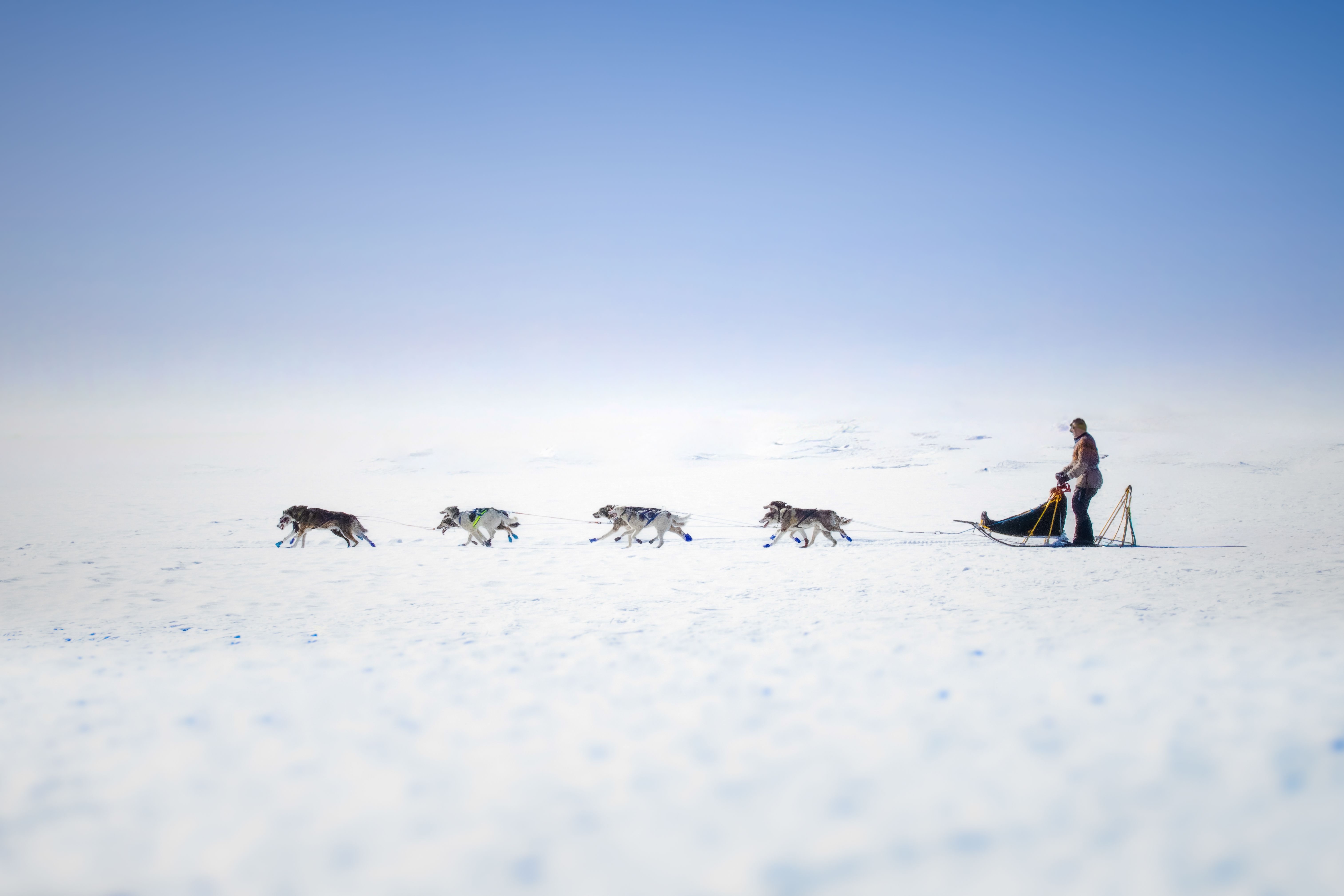 Yukon story