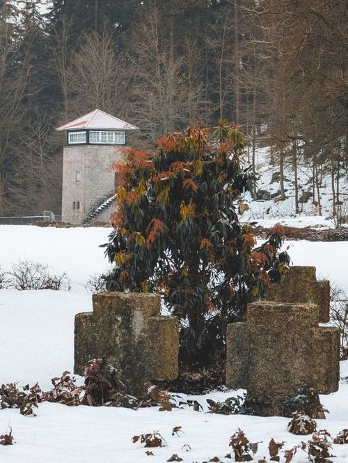 Free Snowy landscape in Flossenbürg, Germany with a historic watchtower and foliage in winter. Stock Photo