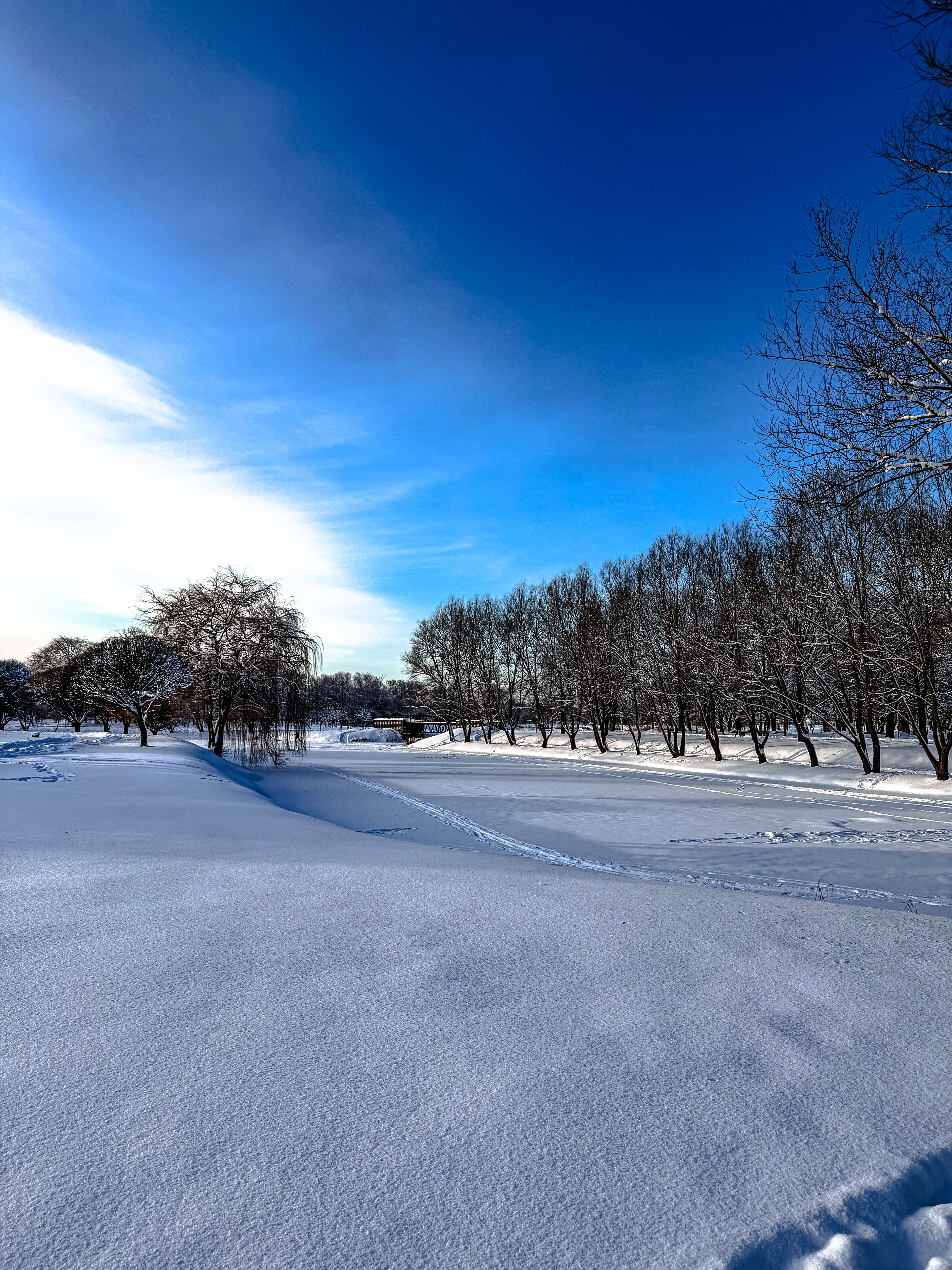 A tranquil winter scene of a snowy landscape under a clear blue sky.