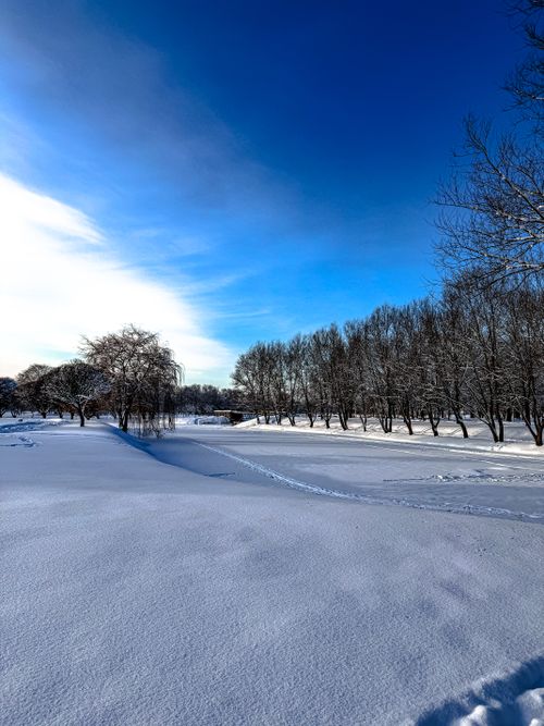 Free A tranquil winter scene of a snowy landscape under a clear blue sky. Stock Photo