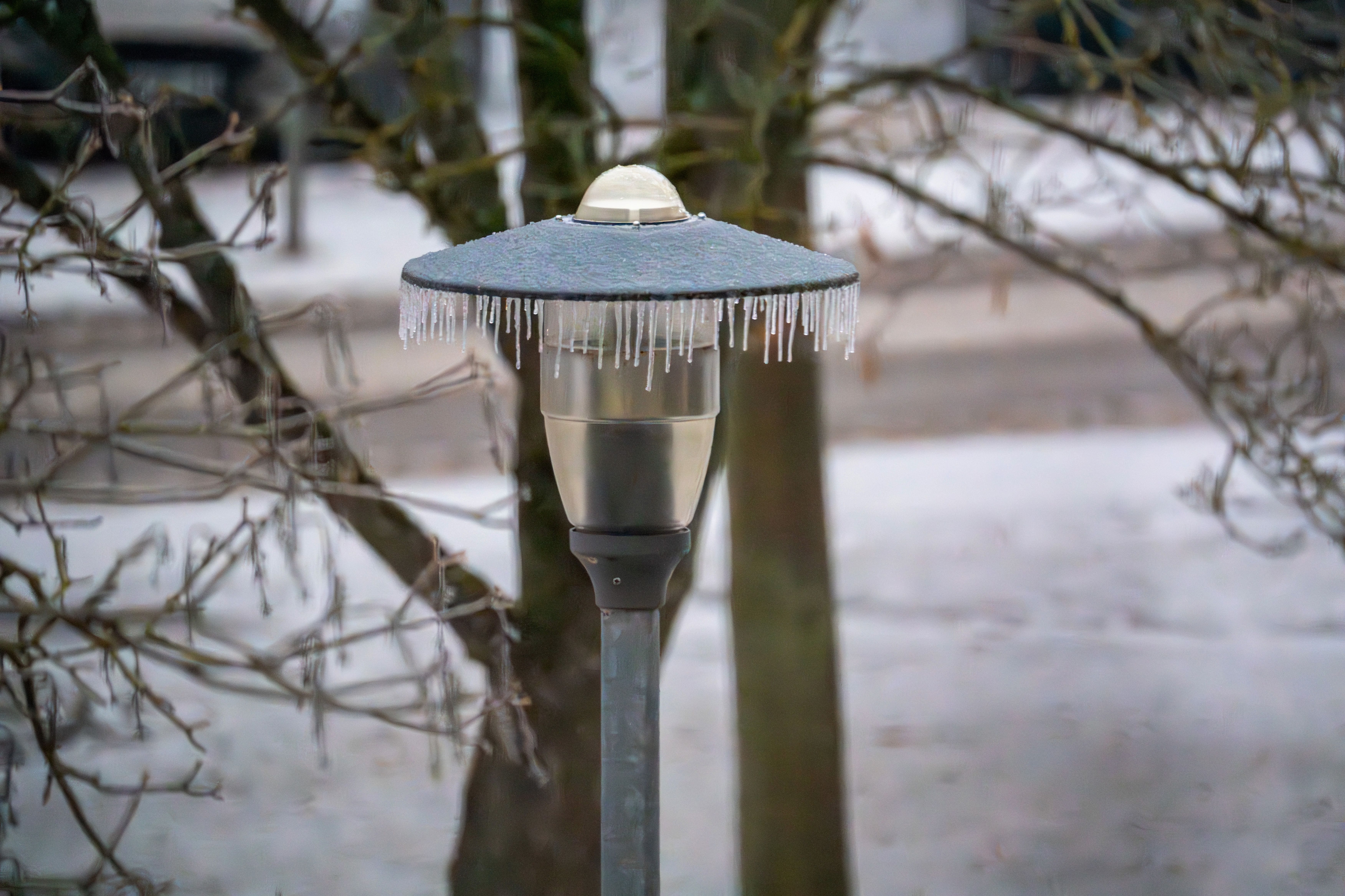 Botoșănenii, vizați de măsurile UE: temperaturi limitate și iluminat redus