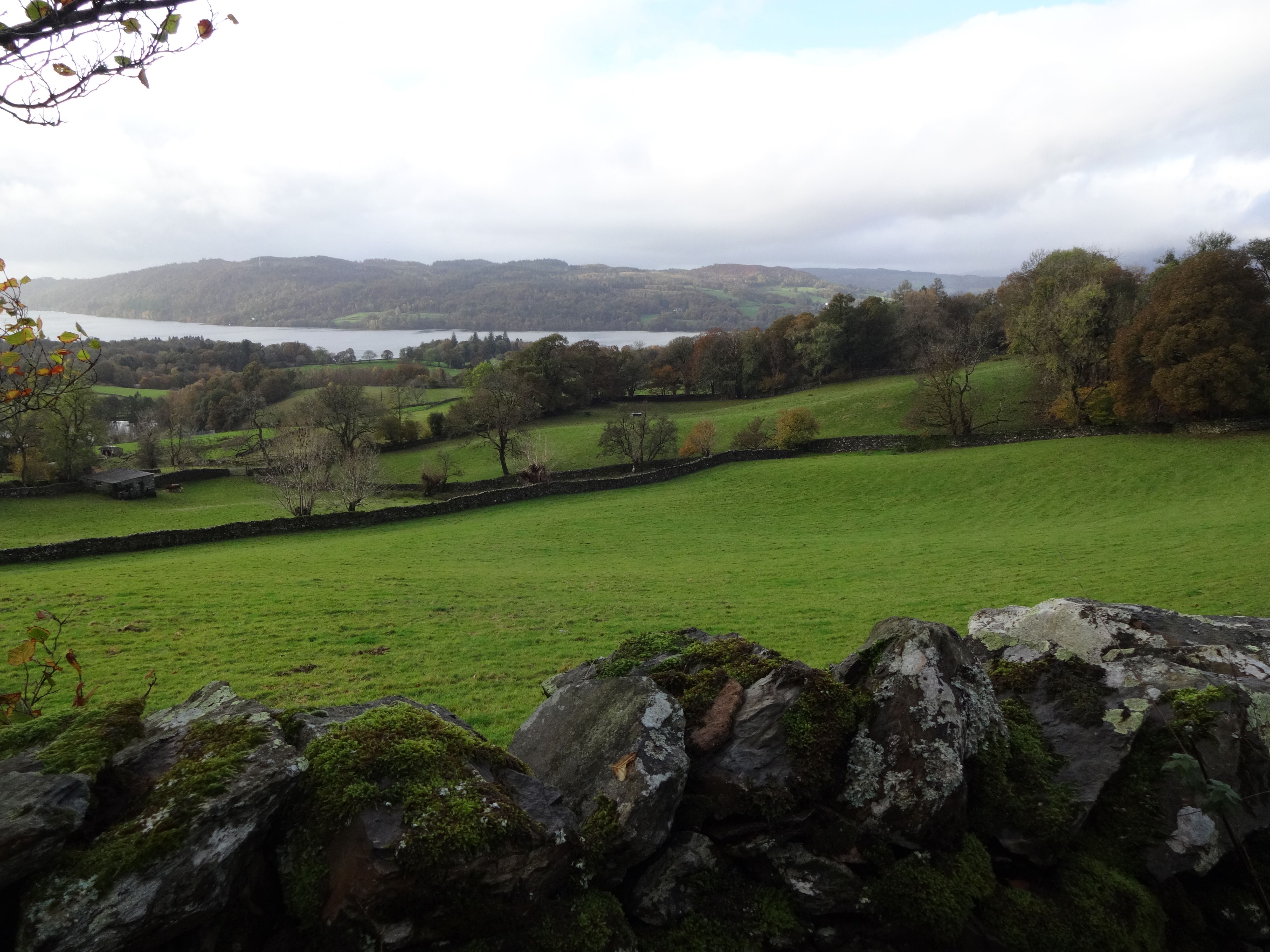 Stunning landscape of the Lake District with lush green fields and stone walls.