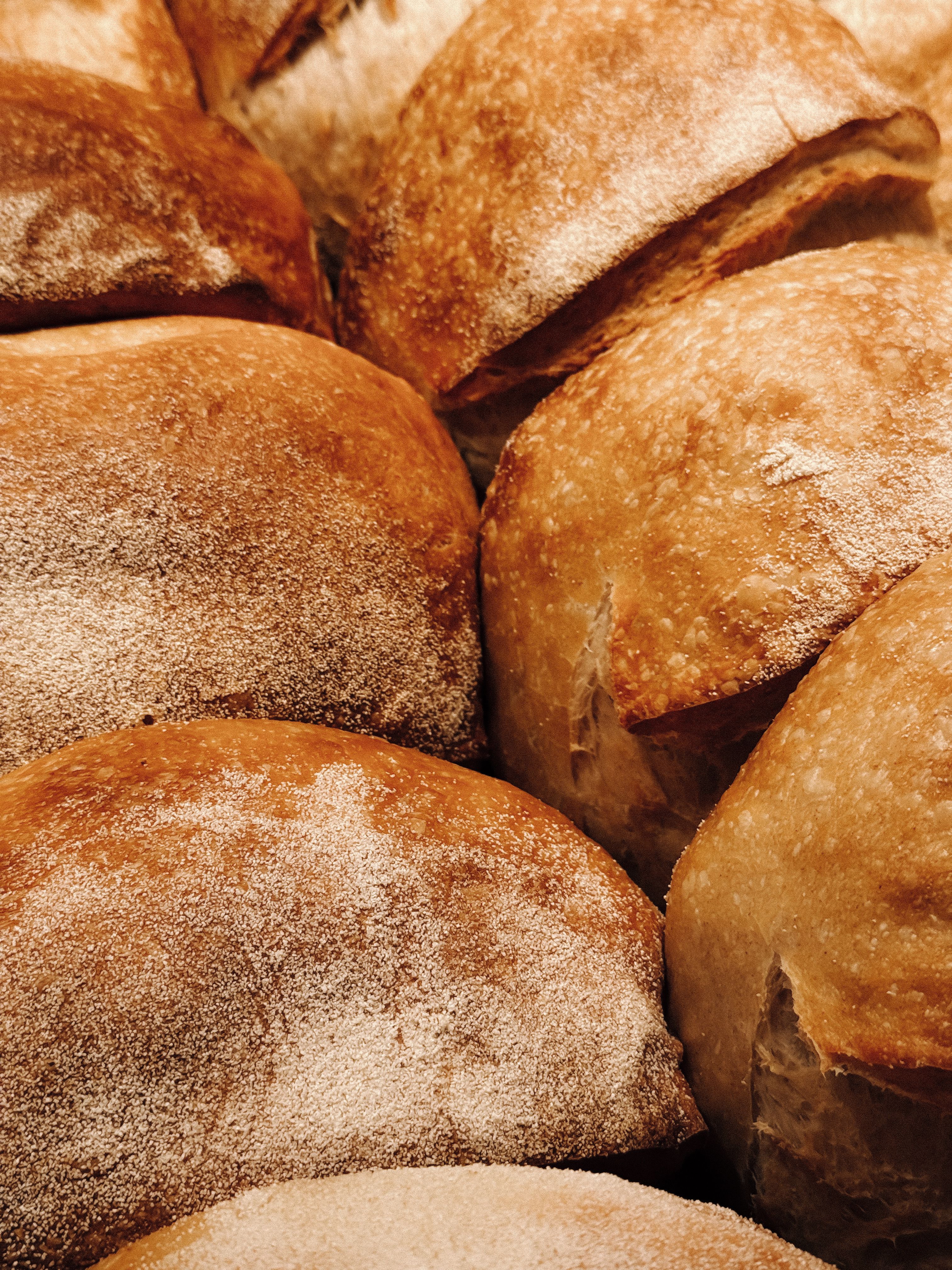 Close-up of freshly baked artisan bread loaves with a golden crust.