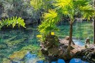 漫步于绿树成荫的热带环境，海水清澈，宁静宜人