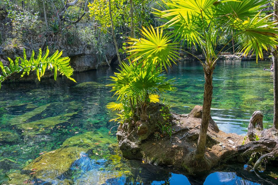 Danau Sembuluh: Oasis di Tengah Hutan Kalimantan Danau Sembuluh: Oasis di Tengah Hutan Kalimantan
