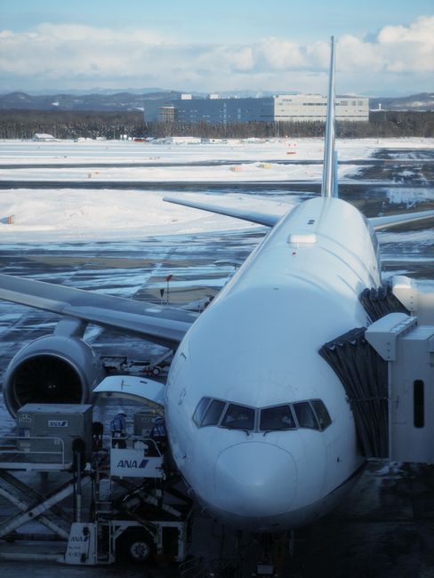 눈 내린 일본 지방 소도시 공항 활주로