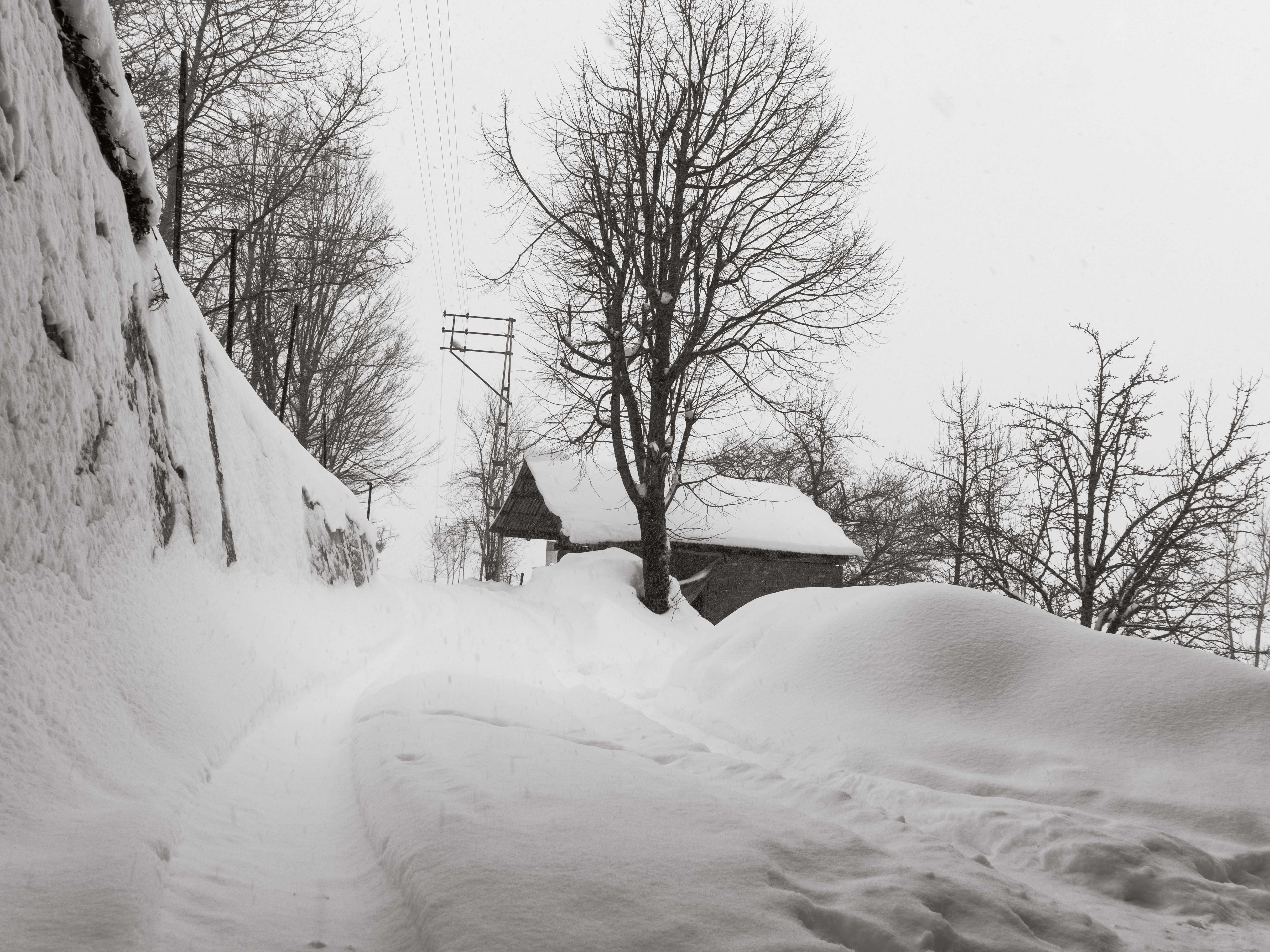 Cozy Cabin in Serene Snowy Landscape · Free Stock Photo