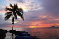 Silhouette Photography of Coconut Palm Tree