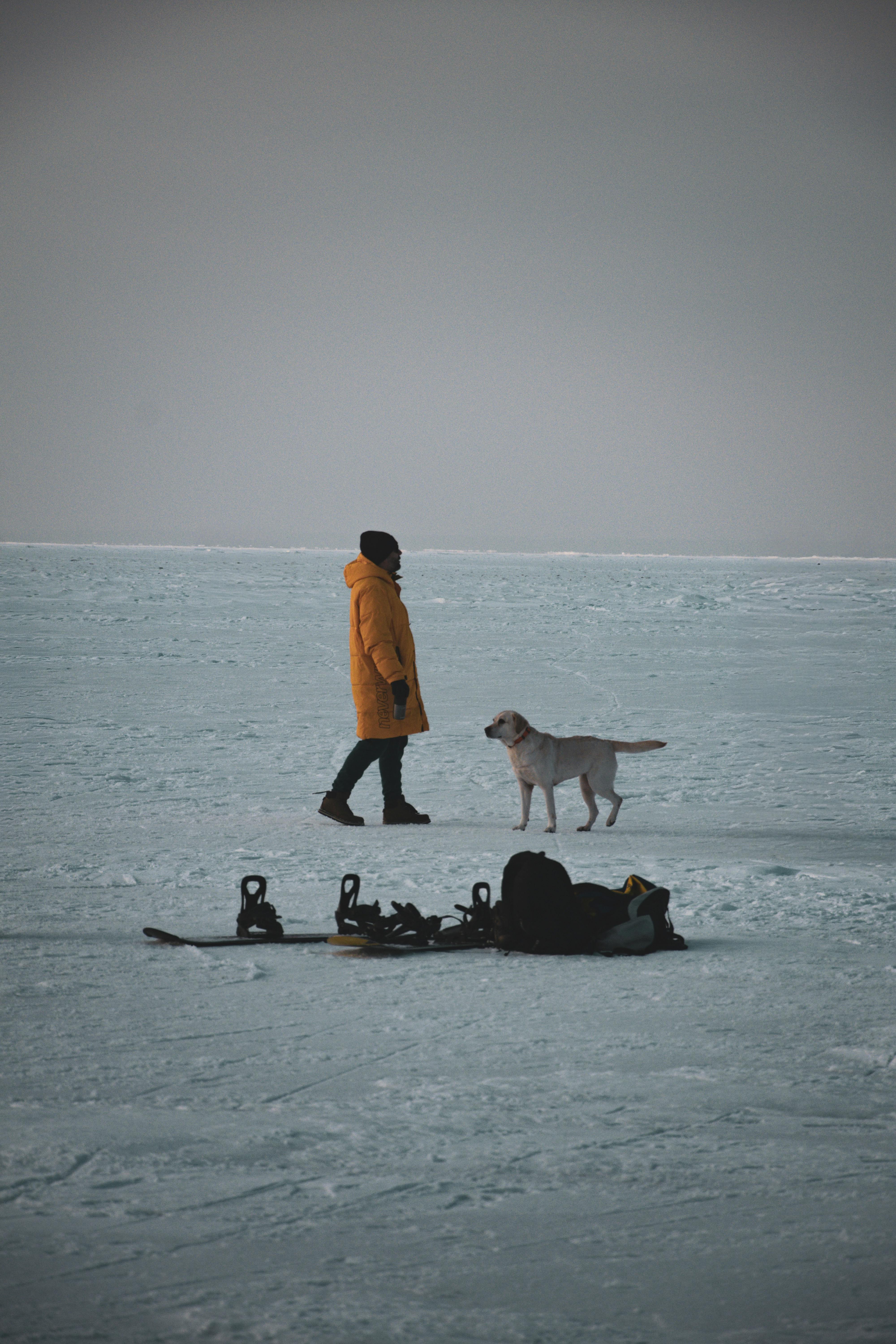 Person in orange coat walking dog on snowy field beside snowboards.