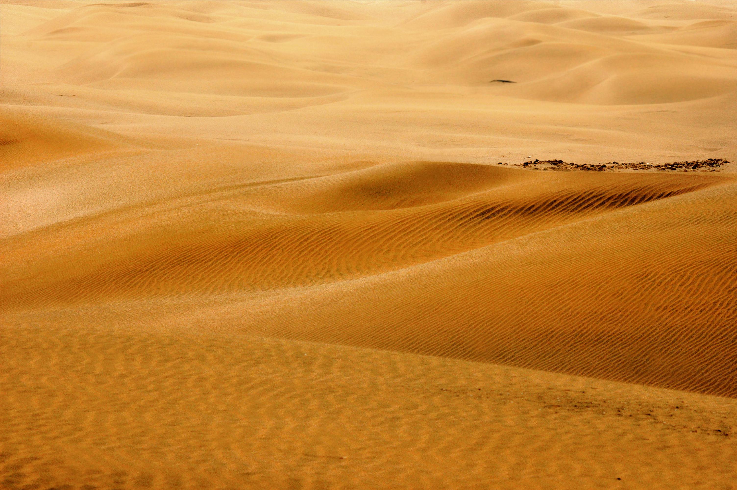 Dunes de sable dorées dans le désert du Sahara au Maroc